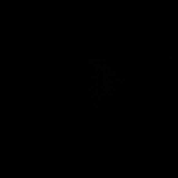 yarijaime